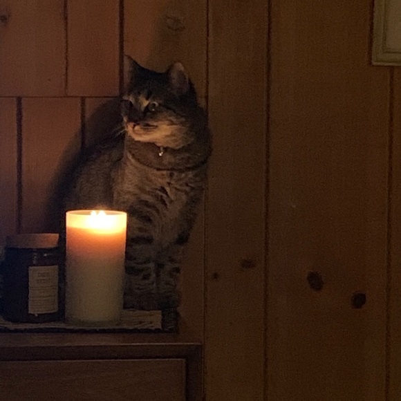 Meet your Posher, Molly - Picture 1 of 1